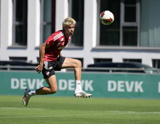Fußball, 1. BL, 1. FC Köln, Training
