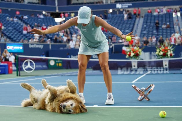 Tennis, WTA-Turnier in Toronto, Finale, Hund Elway feiert mit Siegerin Swiatek