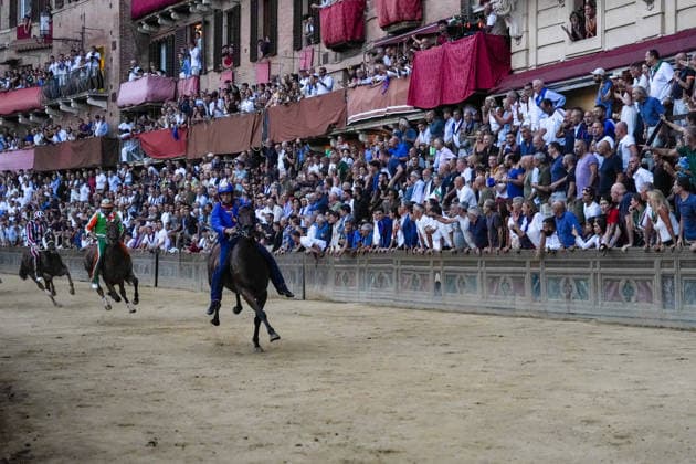 Pferdesport, Palio di Siena