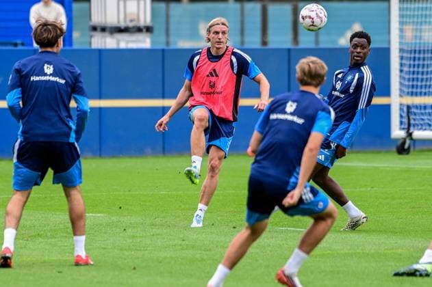 Fußball, 1. BL, Hamburger SV, Training
