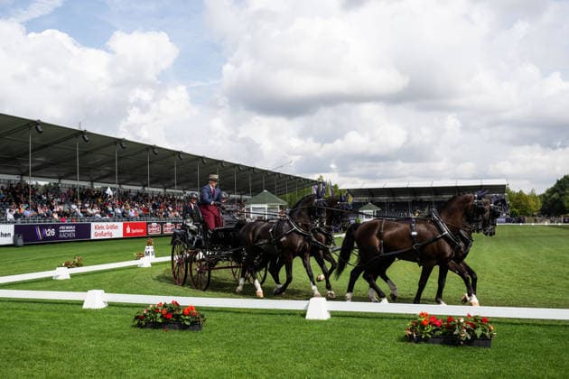 Pferdesport, WM in Aachen, Four-In-Hand Dressur