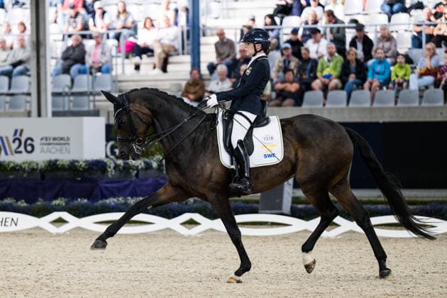 Pferdesport, WM in Aachen, Para-Dressur, Team
