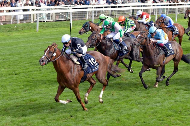 Pferdesport, Galopp, Renntag in York