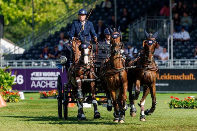 Pferdesport, WM in Aachen, Gespannfahren