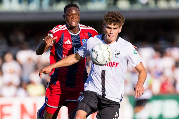 Fußball, DFB Pokal, SC Verl - Hamburger SV