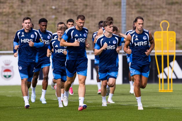 Fußball, 1. BL, FC Schalke 04, Training