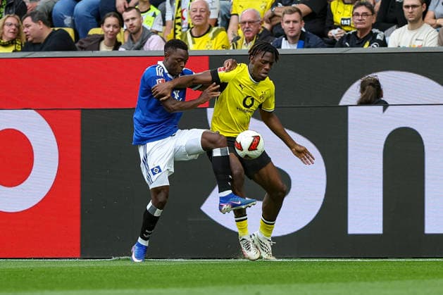 Fußball, 1. BL, Borussia Dortmund - Hamburger SV