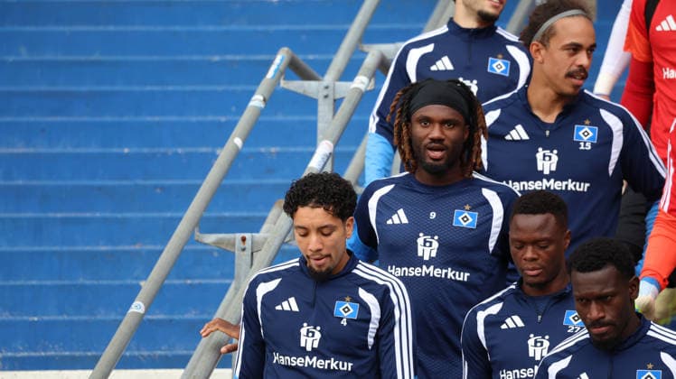 Fußball, 1. BL, Hamburger SV, Training