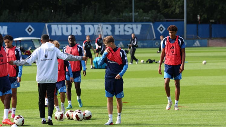 Fußball, 1. BL, Hamburger SV, Training