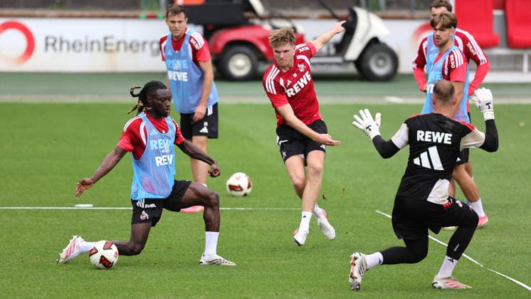 Fußball, 1. BL, 1. FC Köln, Training
