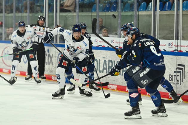 Eishockey, 2. BL, Dresdner Eislöwen - EC Kassel Huskies