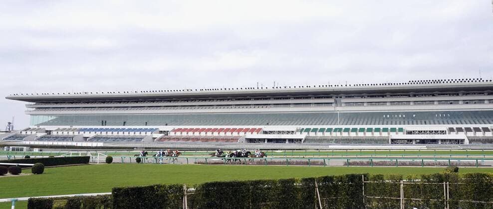 Galopp, Rennen auf der Nakayama-Rennbahn finden zum Schutz vor dem Coronavirus ohne Zuschauer statt