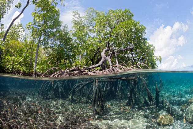 IMAGO Nature: Unsere Erde, Naturschutz, Naturschutzgebiete in Asien