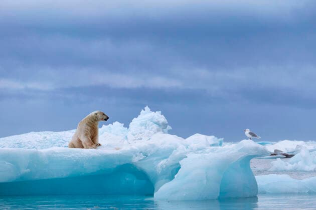 IMAGO Nature: Unsere Erde, Umweltprobleme, Klimawandel, Schmelzende Polkappen