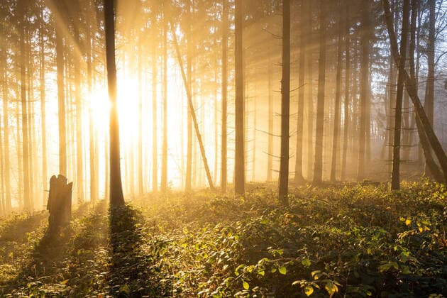 IMAGO Nature: Unsere Erde, Ressourcen, Sonnenlicht