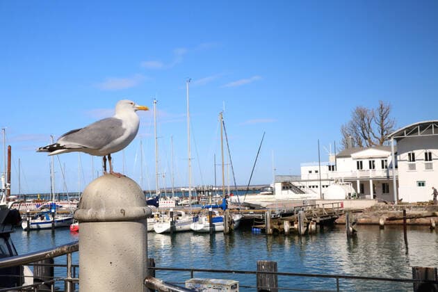 Coronavirus in Mecklenburg-Vorpommern, Eindrücke aus Warnemünde