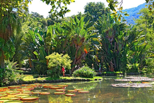 Travel, Parks and Gardens, Brasilien, Jardim Botanico in Rio de Janeiro