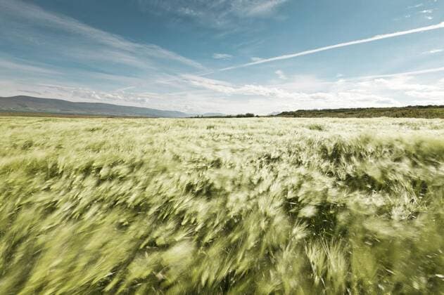 IMAGO Nature: Unsere Erde, Ressourcen, Wind
