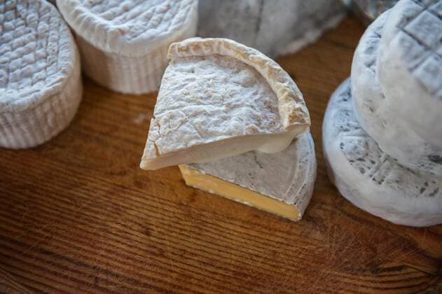 Käse, Forschende warnen vor Ende des Camembert-Pilzes, Archivbilder