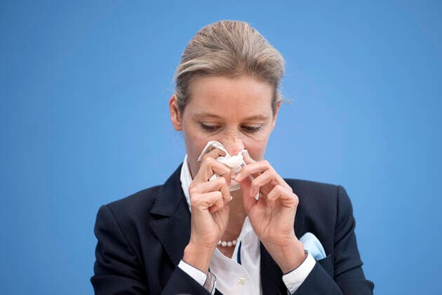 Alice Weidel hat sich mit dem Coronavirus infiziert - Archivbilder