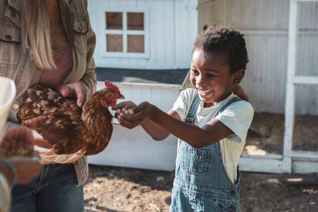 IMAGO Creative, Diversity, Kinder: Auf dem Bauernhof