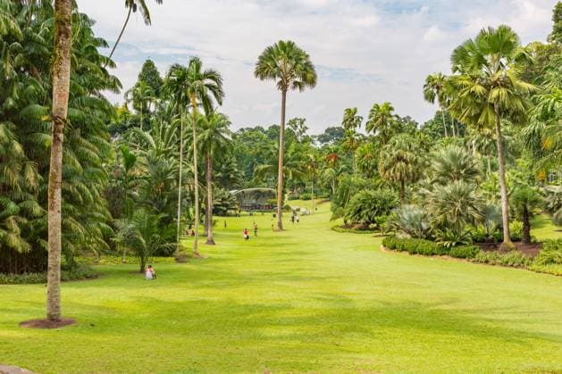 Travel, Parks and Gardens, Singapur, Botanic Gardens