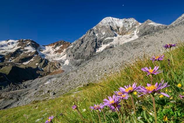 Travel, National Parks, Italien, Stilfser Joch