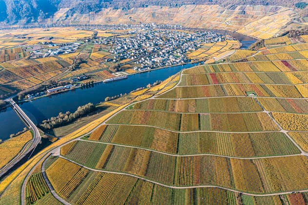 Kalendermotive: Weinbau