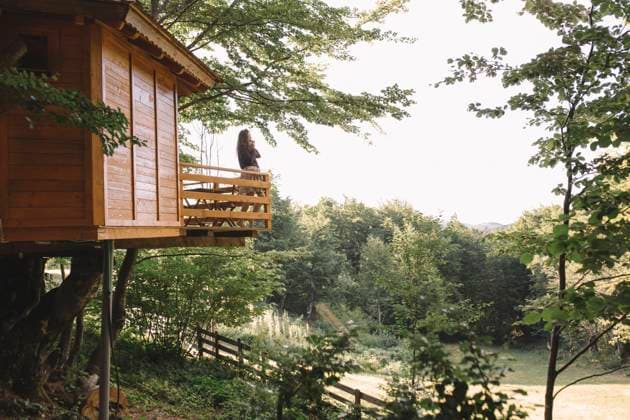 IMAGO Creative, Leben im Baumhaus