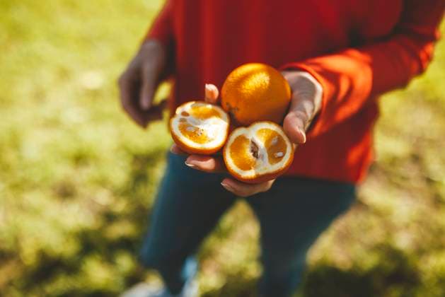 IMAGO Creative, Sommer, Im Obstgarten, Zitrusfrüchte