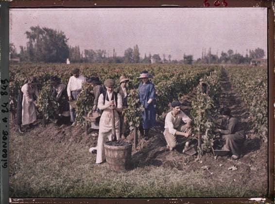 IMAGO Fernand Cuville Archiv, Die Archive des Planeten, Frankreich, Weinlese 1920