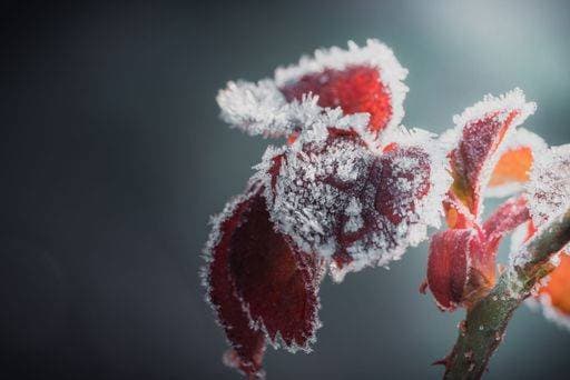 IMAGO Creative, Winter, Frost und Eis in der Natur