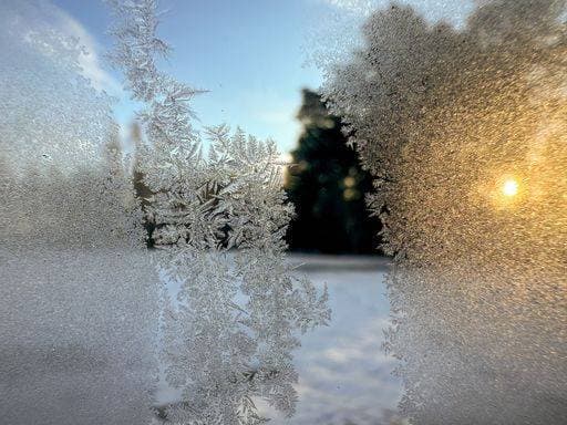 IMAGO Creative, Winter, Frost