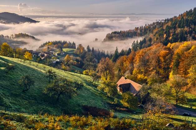 Kalendermotive: Schwarzwald
