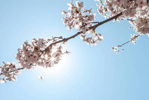 IMAGO Creative, Frühling, Sonne im Frühjahr