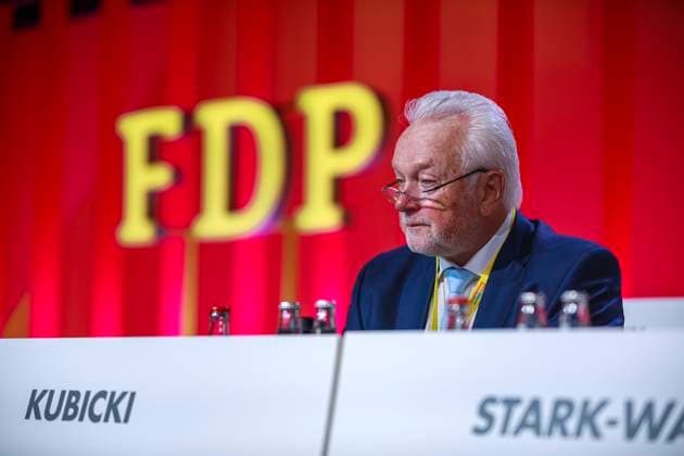 FDP, Wolfgang Kubicki will neuer Parteichef werden, Archivbilder