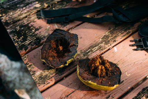 IMAGO Creative, Food, Schwarze Sapote