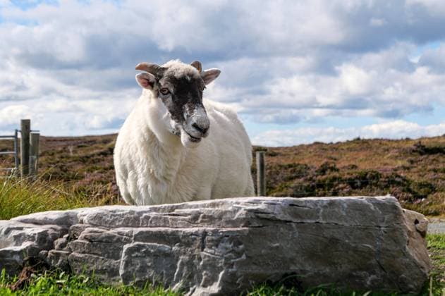 TopReiseziel 2025: Irland, Donegal