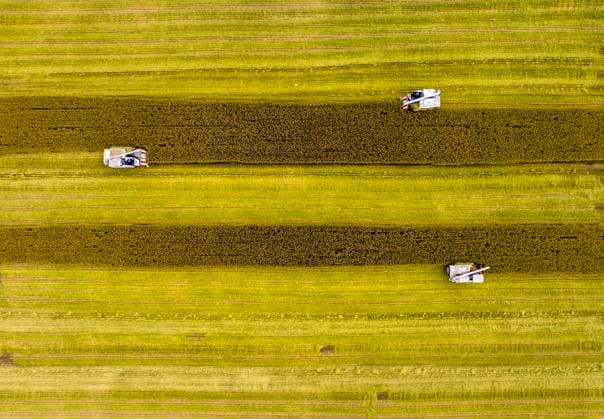 Erzeugerpreise in der Landwirtschaft mit stärkstem Einbruch seit 2014, Archivbilder