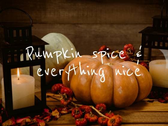 IMAGO Creative, Herbst, Pumpkin Spice and Everything Nice