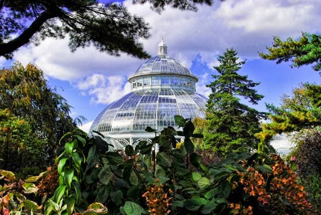 Travel, Parks and Gardens, USA, Brooklyn Botanic Garden in New York