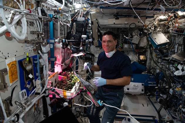 Internationale Raumstation ISS, Verschollene Tomate wiederentdeckt, Archivbild