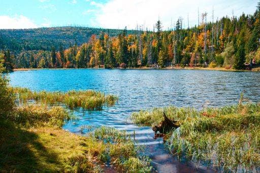 Travel, National Parks, Tschechien, Sumava