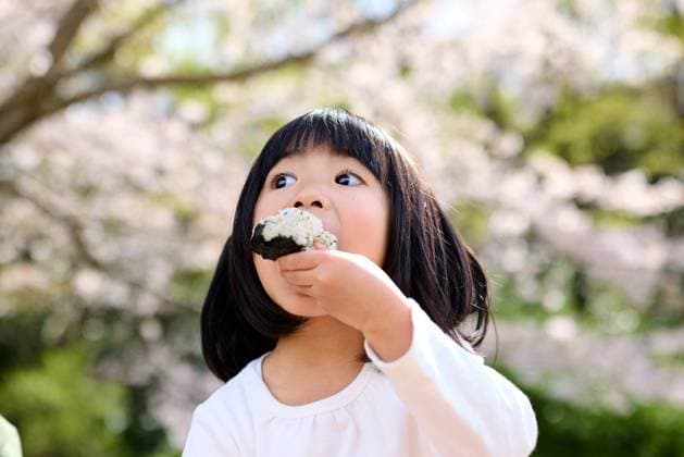 IMAGO Creative, Food, Japan, Onigiri