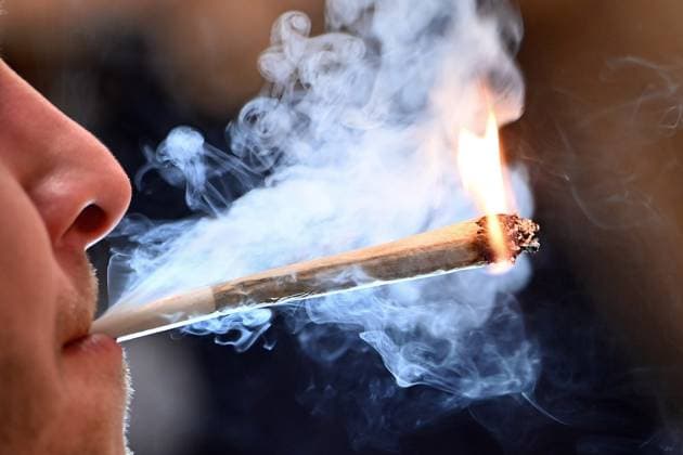 Bundesrat billig Cannabislegalisierung, Archivbilder