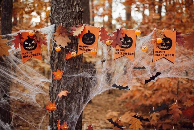 IMAGO Creative, Herbst, Halloween, Dekoration