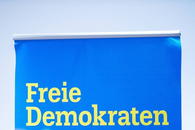 Landtagswahlen 2024, FDP