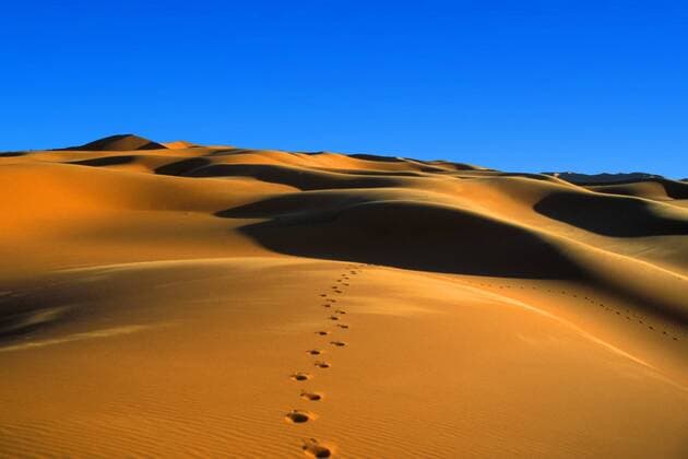Kalendermotive: Spuren im Sand