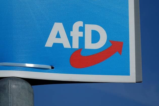 Landtagswahlen 2024, AfD