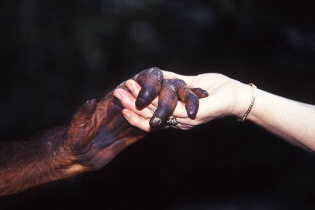 IMAGO Creative, Klimawandel - Naturschutz